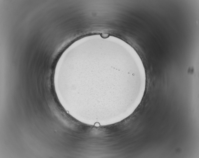 X0000111850346200909031732