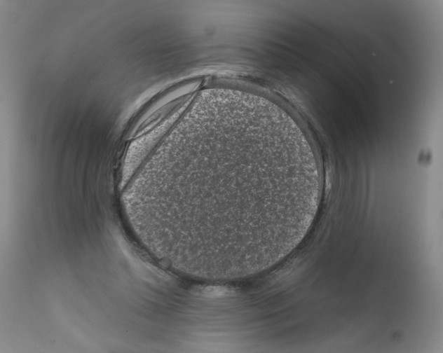 X0000111850348200909031733
