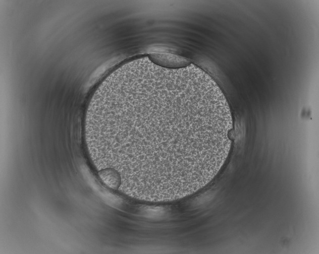 X0000111850349200909031733