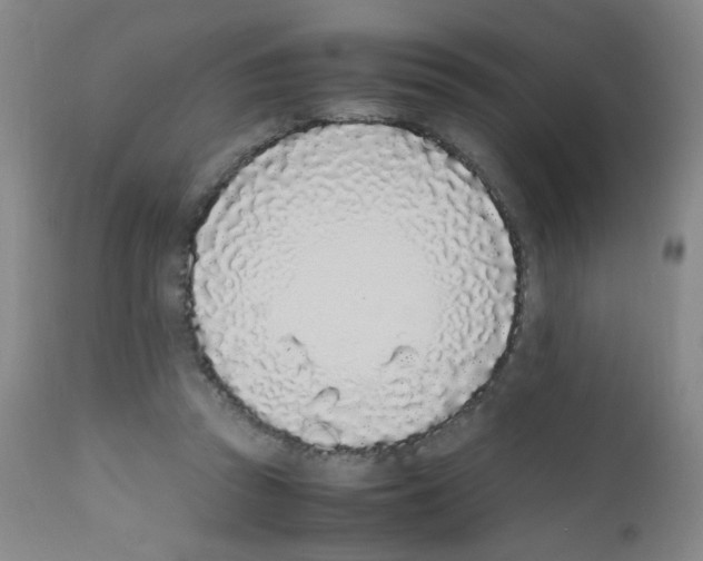 X0000111850353200909031733