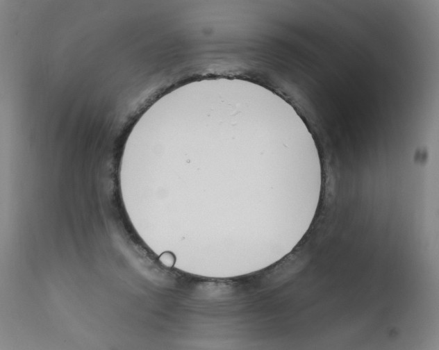 X0000111850354200909031733