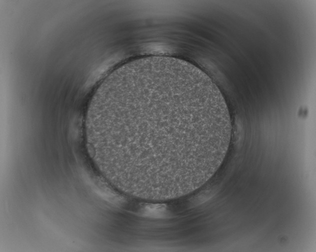 X0000111850355200909031733
