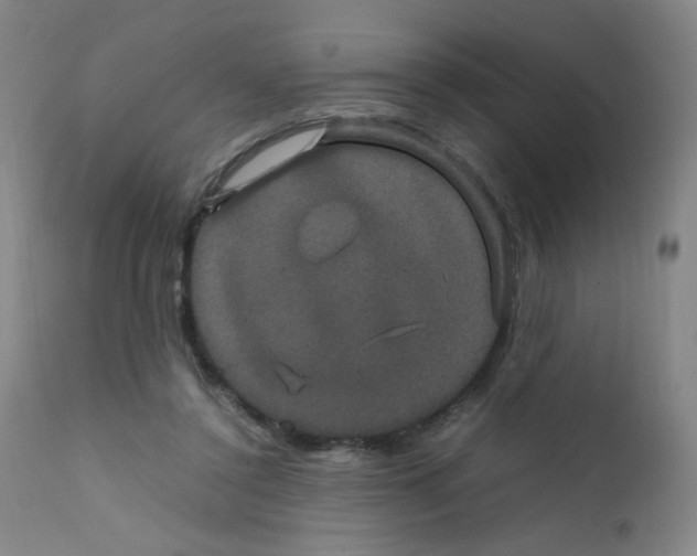X0000111850356200909031733