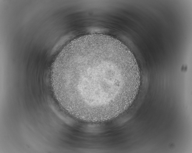 X0000111850357200909031733