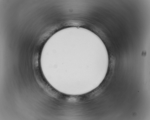 X0000111850358200909031733