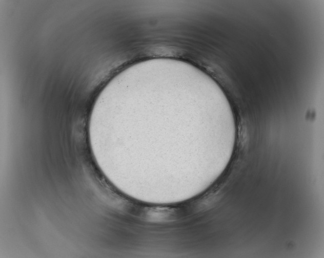 X0000111850359200909031733