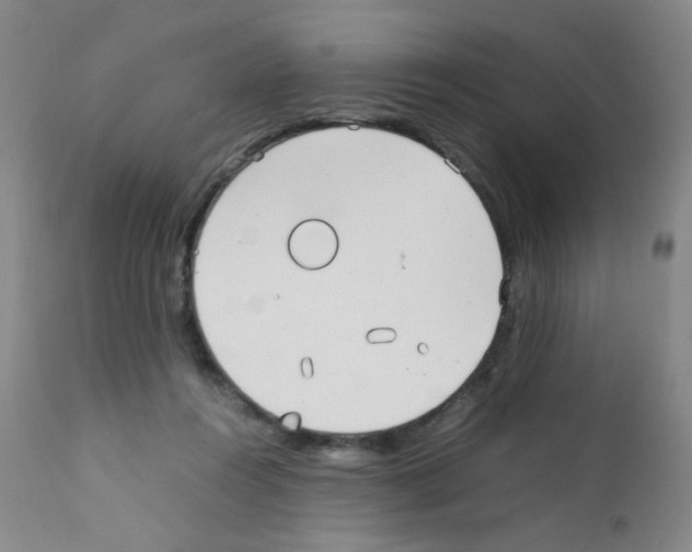 X0000111850360200909031733