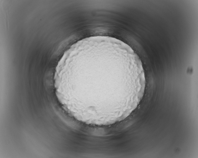 X0000111850361200909031733