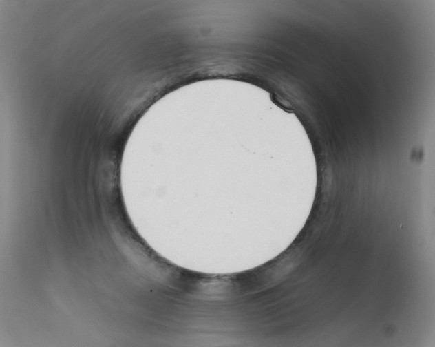X0000111850362200909031733