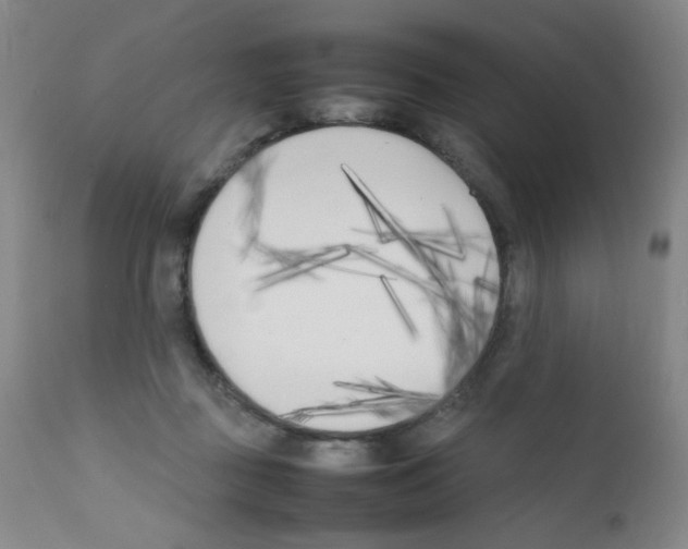 X0000111850363200909031733