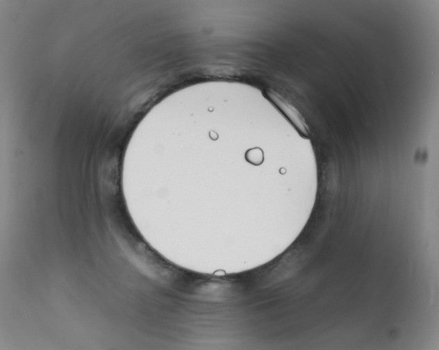 X0000111850364200909031733