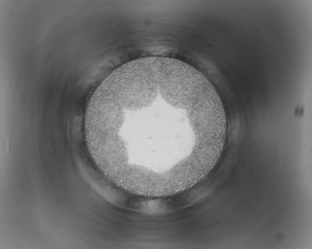 X0000111850365200909031733