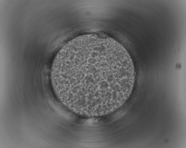 X0000111850366200909031733