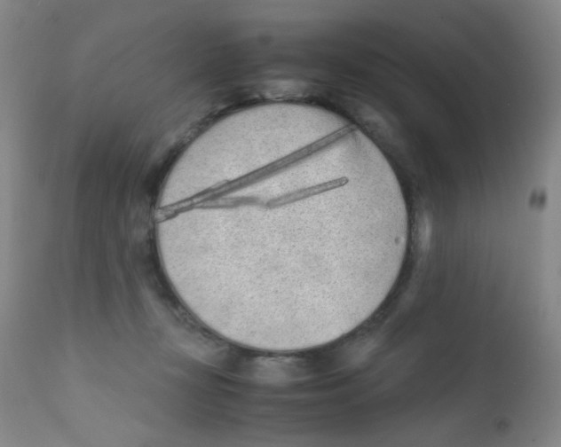 X0000111850367200909031733