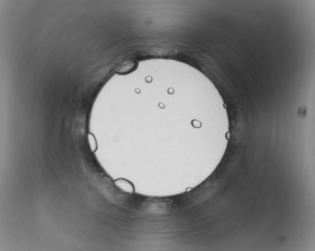 X0000111850368200909031733
