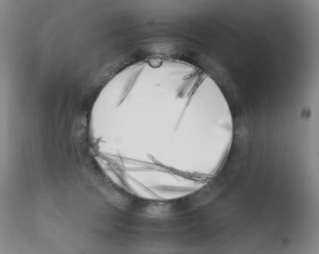 X0000111850369200909031733