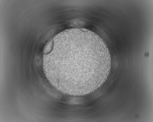X0000111850371200909031733
