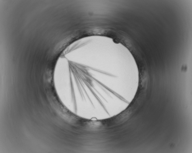 X0000111850374200909031733