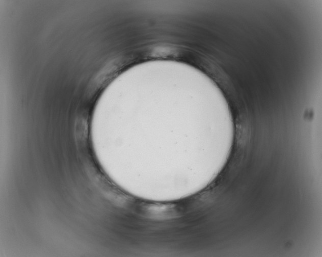 X0000111850375200909031733