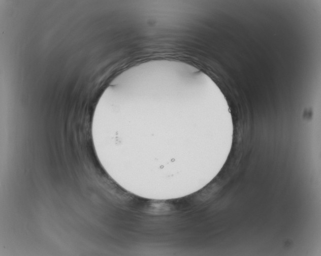 X0000111850376200909031733