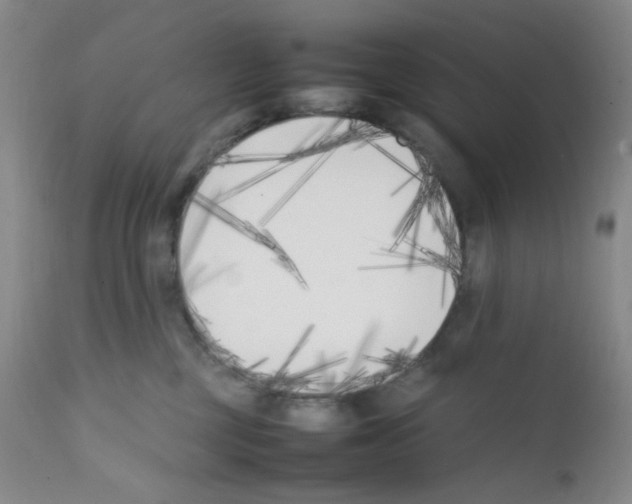 X0000111850377200909031733