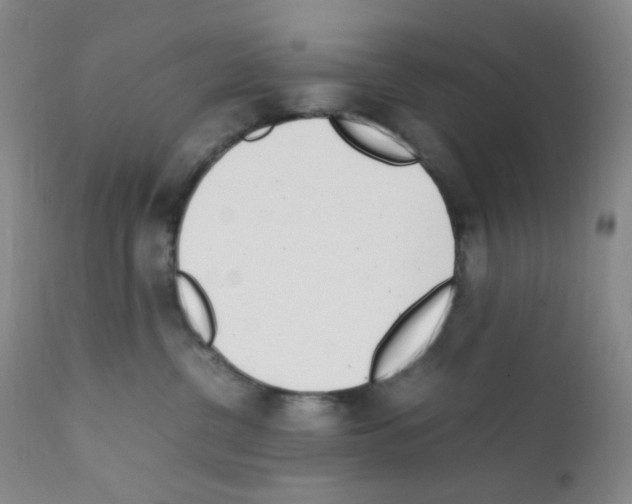 X0000111850380200909031733