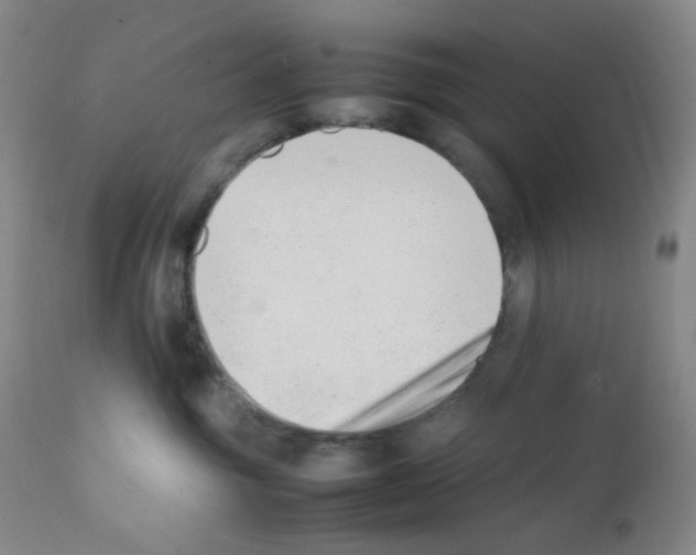 X0000111850381200909031733