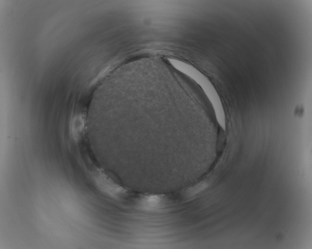 X0000111850382200909031733