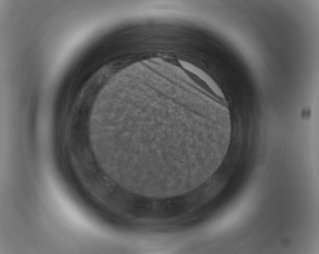 X0000111850383200909031733