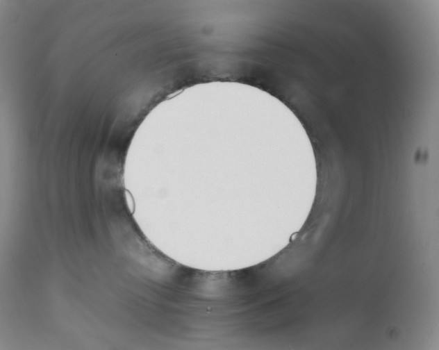 X0000111850384200909031733