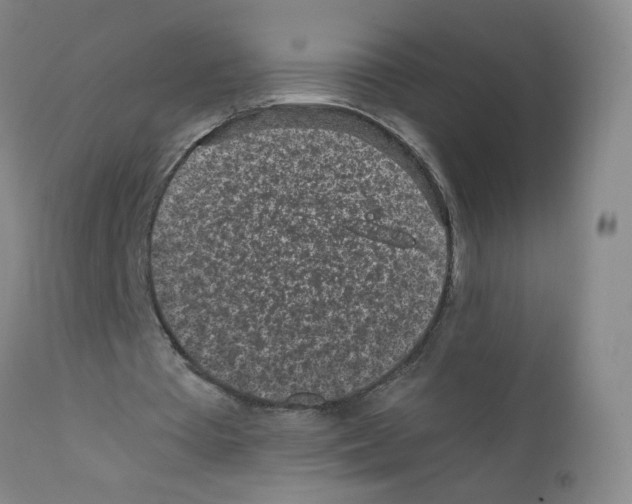 X0000111850385200909031732