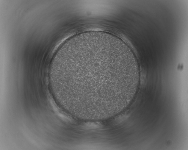 X0000111850386200909031732