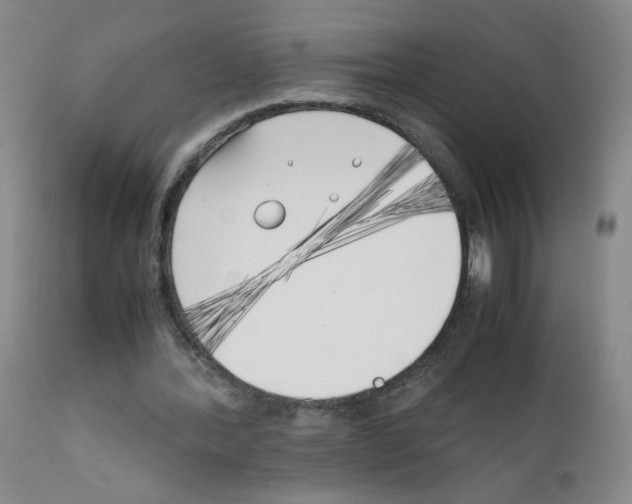 X0000111850388200909031732