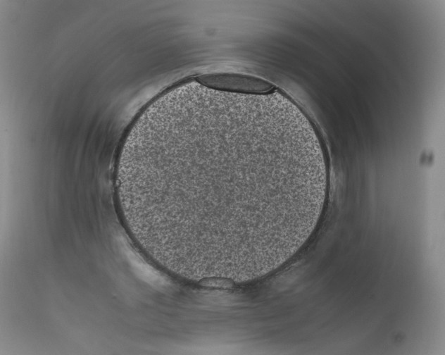 X0000111850389200909031732
