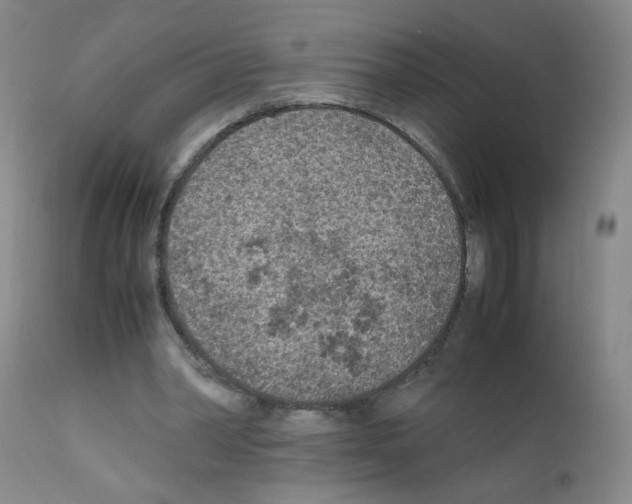 X0000111850390200909031732