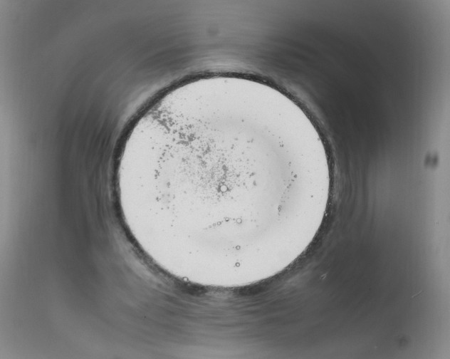 X0000111850391200909031732