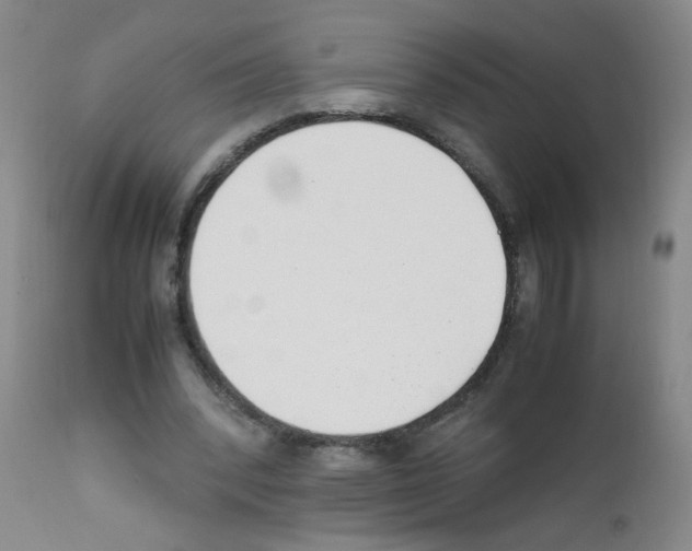 X0000111850392200909031732