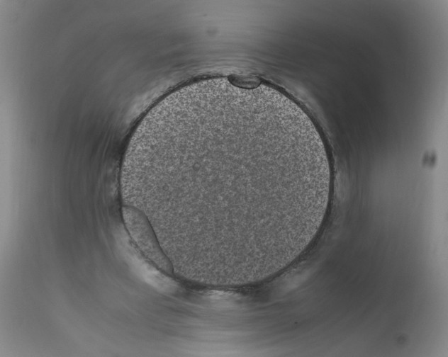 X0000111850393200909031732