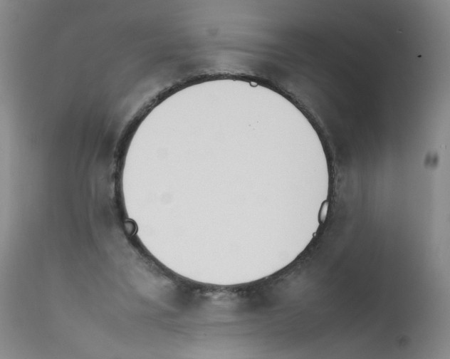 X0000111850395200909031732