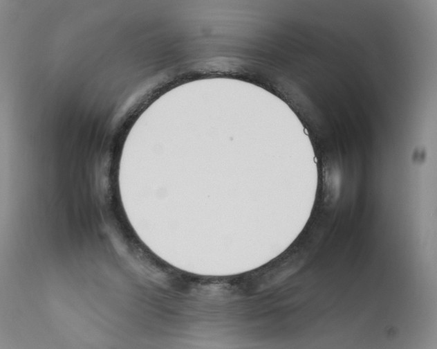 X0000111850396200909031732