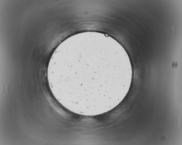 X0000111850397200909031732