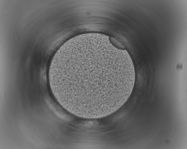 X0000111850398200909031732