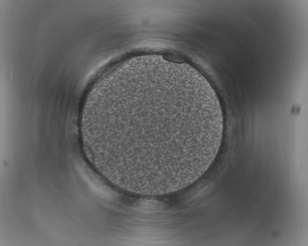 X0000111850399200909031732