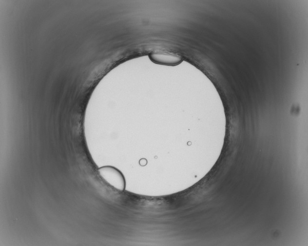 X0000111850401200909031732