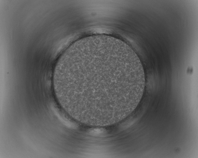 X0000111850402200909031732