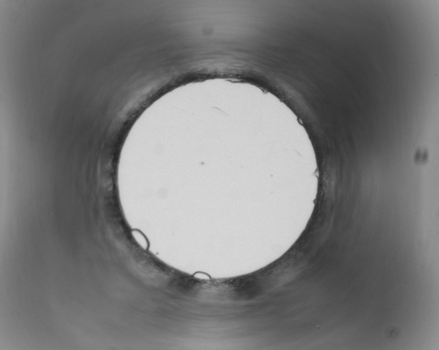 X0000111850403200909031732