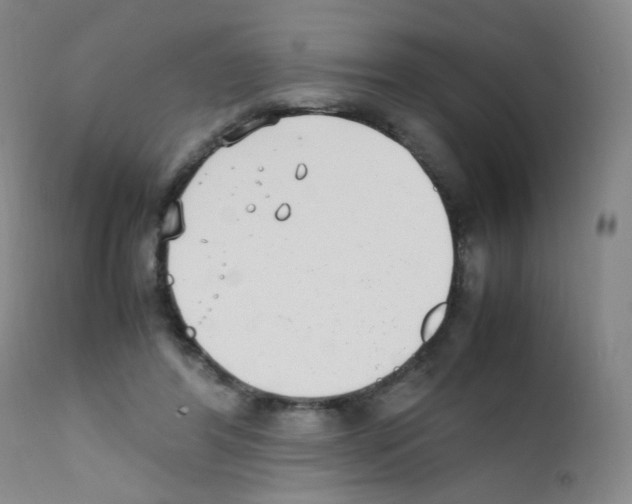 X0000111850404200909031732