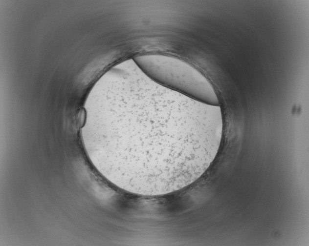X0000111850405200909031732