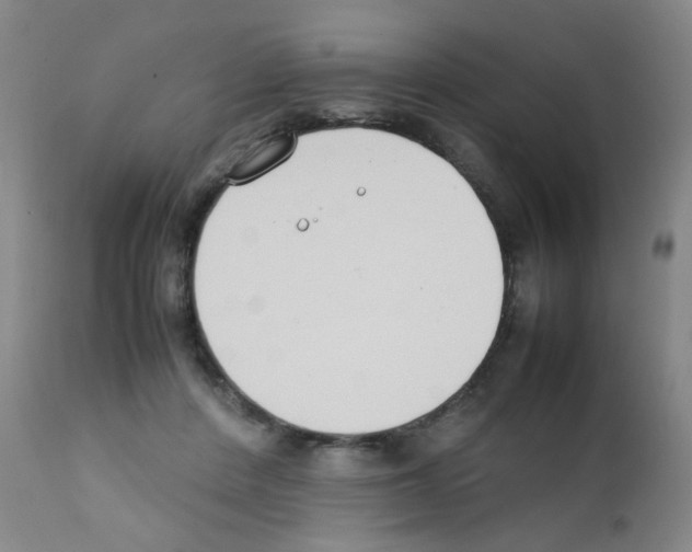 X0000111850408200909031732