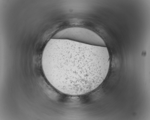 X0000111850409200909031732